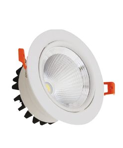 30W S.A. Cob Led Downlight